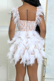 Sexy  slight stretch pearl sequins feather decor tight mini dress