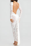 Sexy stretch see through lace backless long sleeve maxi dress(no underwear)