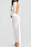 Sexy stretch see through lace backless long sleeve maxi dress(no underwear)