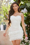 Italian Lace Mini Dress