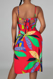 two piece swimwear