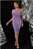 Elegant Sequined Dress