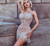 Shiny dress 1
