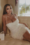 Italian Lace Mini Dress